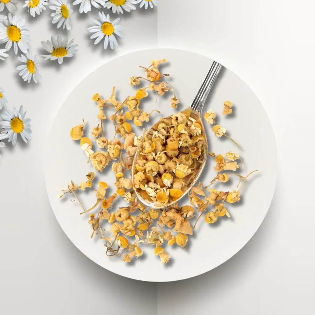 اعشاب البابونج